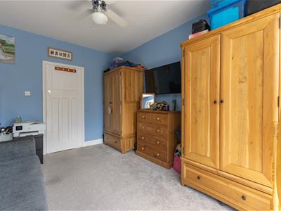 Picture 12